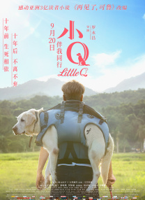成人免费短视频